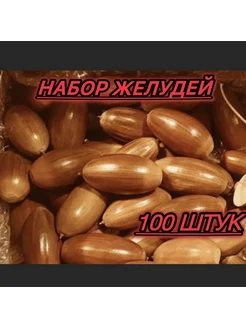 Набор желудей для посадки, для поделок 100 шт Сад и Огород 262283954 купить за 353 ₽ в интернет-магазине Wildberries