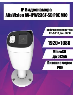 IP Видеокамера AV-IPW236F-SD POE MIC