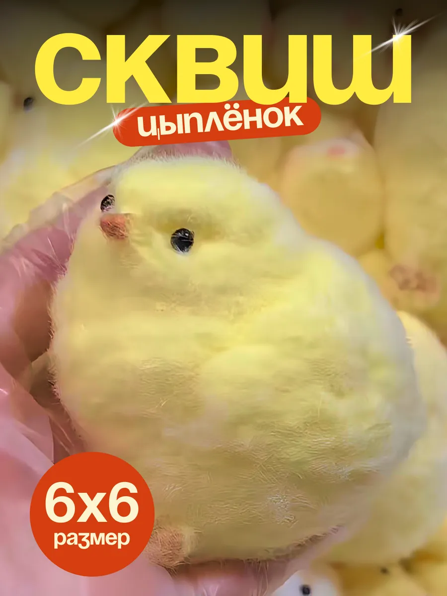 Сквиш таба цыпленок с...