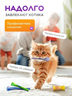 Игрушки для кошек пружинки