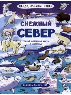 Найди, покажи, узнай. Снежный север