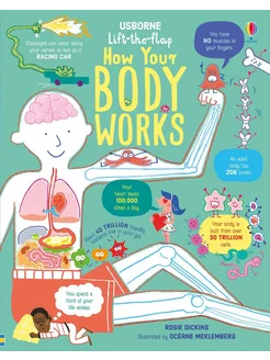 How Your Body Works Книга на Английском