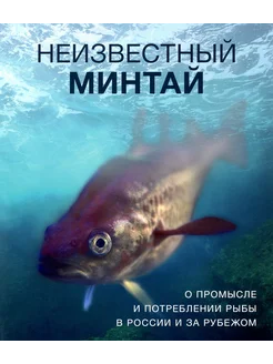 Неизвестный минтай. О промысле и потреблении рыбы в России