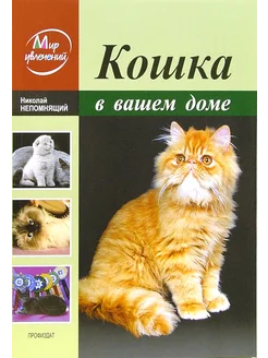 Кошка в вашем доме