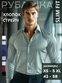 Рубашка классическая приталенная с длинным рукавом MIXЕRS SHIRT 262516362 купить за 1 556 ₽ в интернет-магазине Wildberries