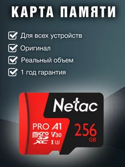 Карта памяти MicroSDXC 256ГБ P500 Pro Class 10 UHS-I A1 V30 NETAC 262516792 купить за 1 726 ₽ в интернет-магазине Wildberries