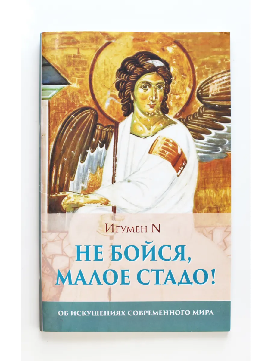 Книга Не бойся, малое стадо! | Игумен N