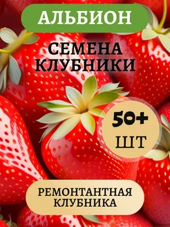 Семена ремонтантной клубники Альбион, 50шт