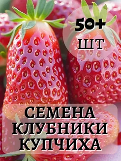 Семена клубники Купчиха, 50шт