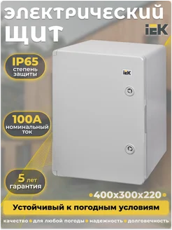 Корпус пластиковый ЩМПп 400х300х220мм УХЛ1 IP65 IEK 262696979 купить за 3 357 ₽ в интернет-магазине Wildberries