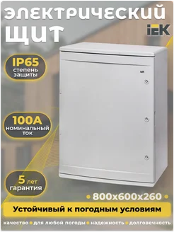 Корпус пластиковый ЩМПп 800х600х260мм УХЛ1 IP65 IEK 262696985 купить за 20 570 ₽ в интернет-магазине Wildberries