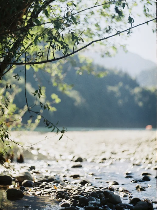 KODAK Фотопленка цветная Fujifilm 200 iso 36 кадров 35 мм, вариант, фото 6
