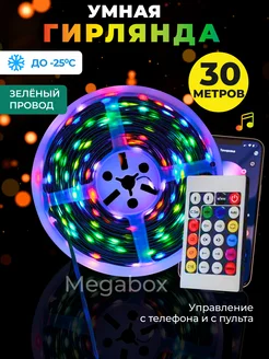 Гирлянда роса умная светодиодная 30м c пультом RGB LED