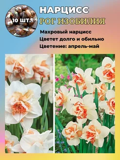 Нарцисс махровый, многолетние луковичные цветы, 10 шт Russian Garden 262783588 купить за 420 ₽ в интернет-магазине Wildberries