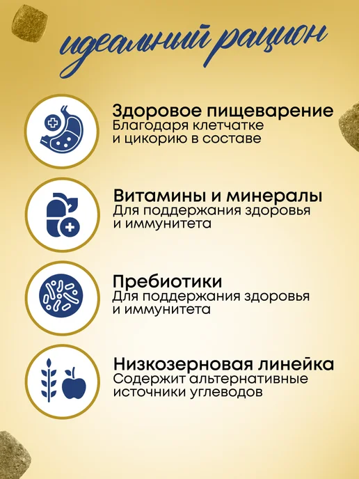 Сухой корм Prime для собак, взрослые, курица, 2 кг, фото 3