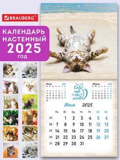 Календарь настенный 2025 перекидной 12 листов Милые котики