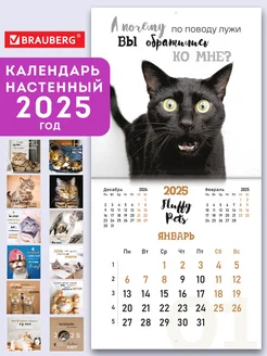 Календарь настенный 2025 перекидной 12 листов Смешные котики