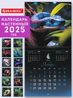 Календарь настенный 2025 перекидной 12 листов Змеи