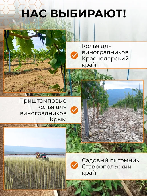 без бренда Опора для растений в саду 8 мм, длина 1,2 м 20шт, 20 шт, фото 8