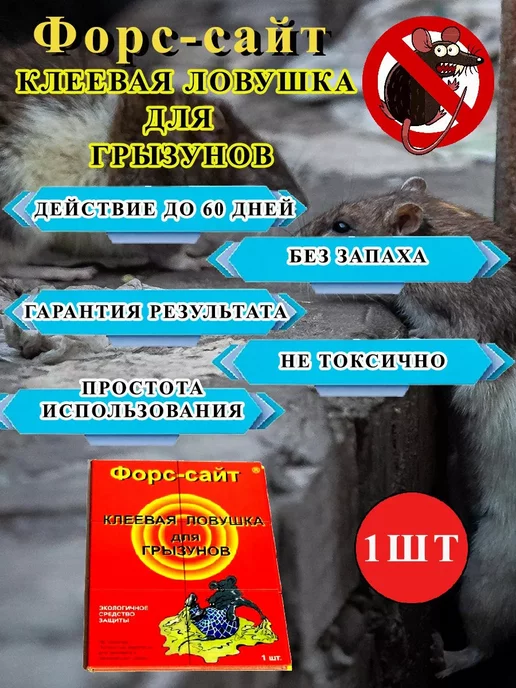 Форссайт Средство от грызунов клеевая ловушка, белый, 1 шт