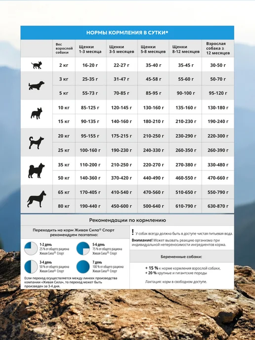 Сухой корм Живая Сила Спорт для собак, телятина, 10 кг, фото 2