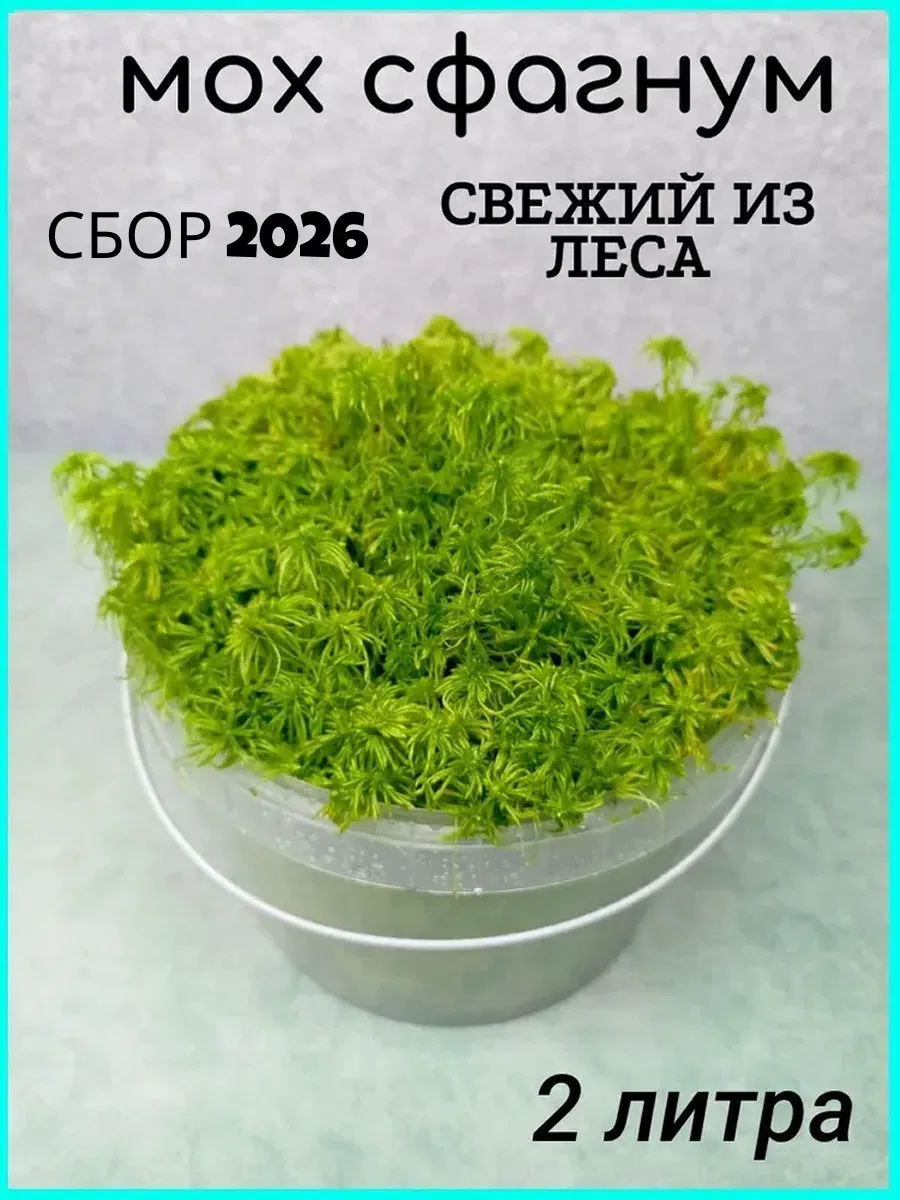 Мох сфагнум свежий лесной 2л