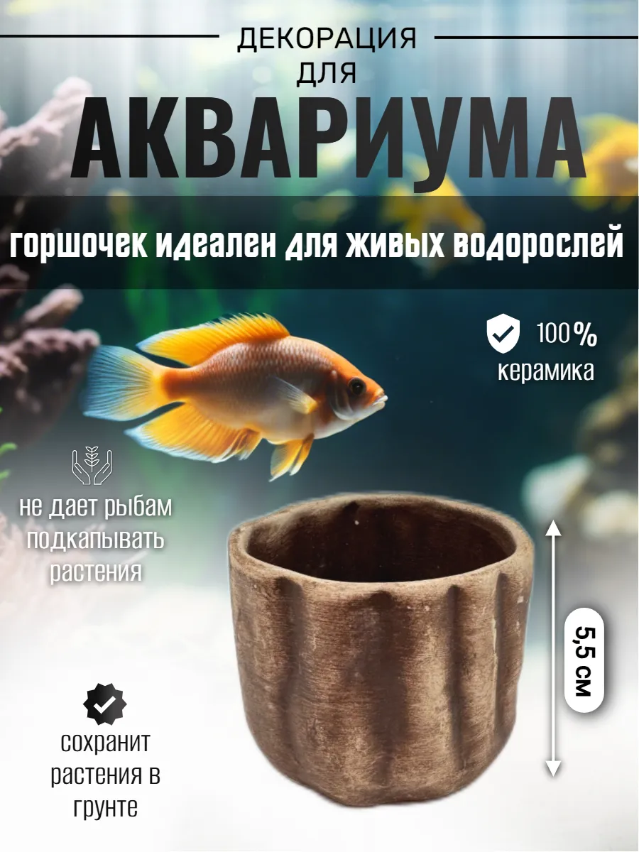 Декор для аквариума
