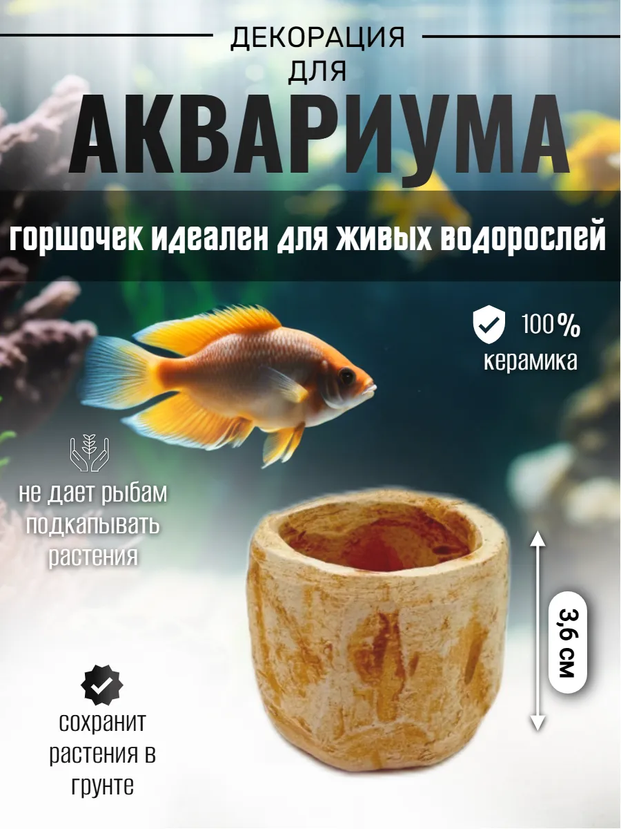 Декор для аквариума