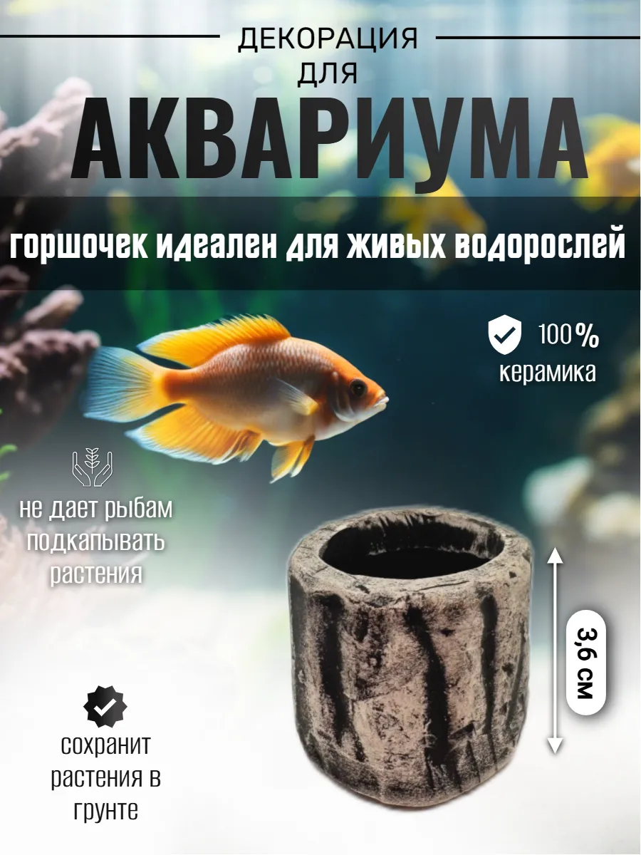 Декор для аквариума