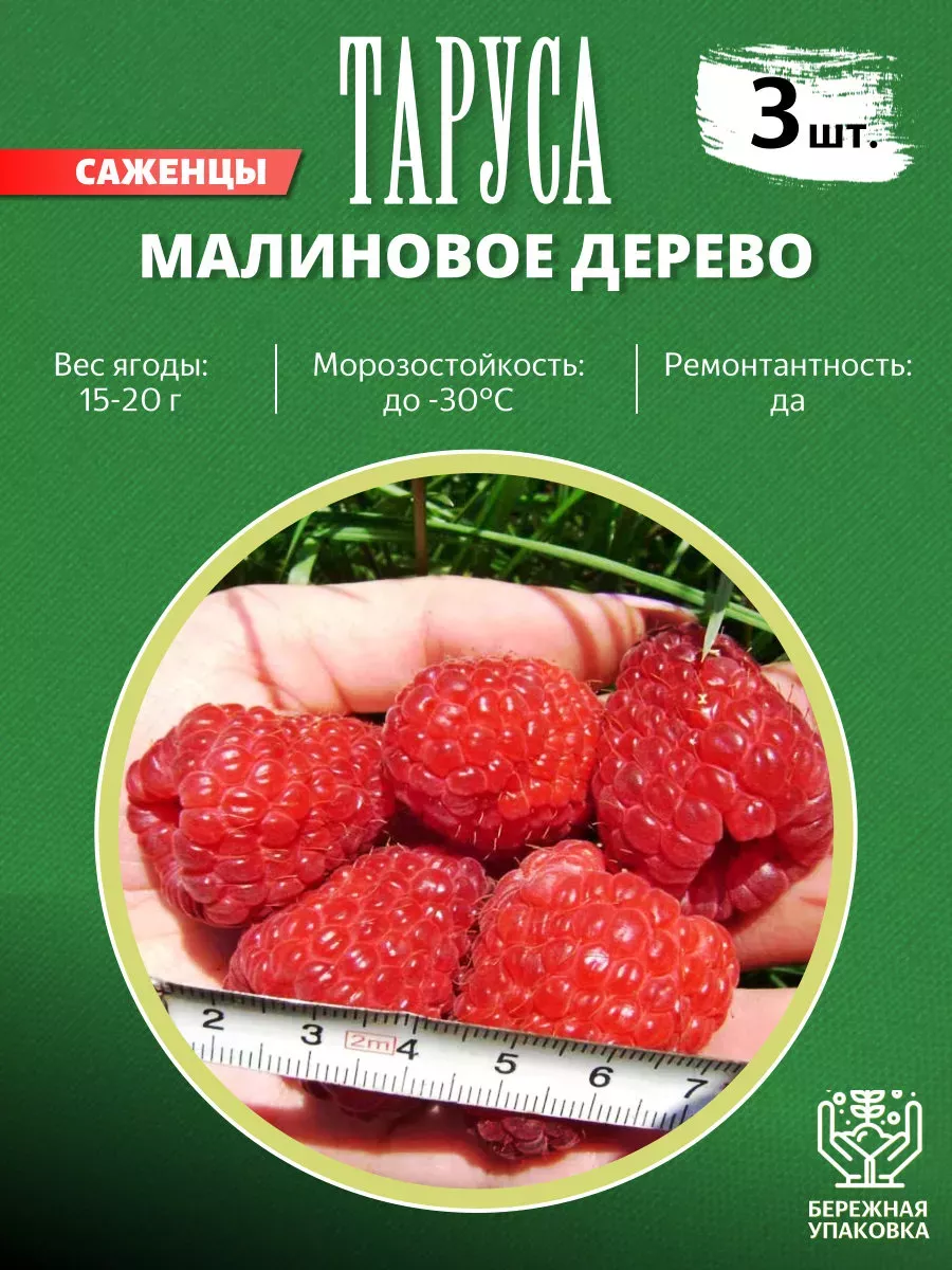 Малиновое дерево...