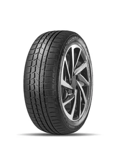 Winguard Sport R19 245 40 98V