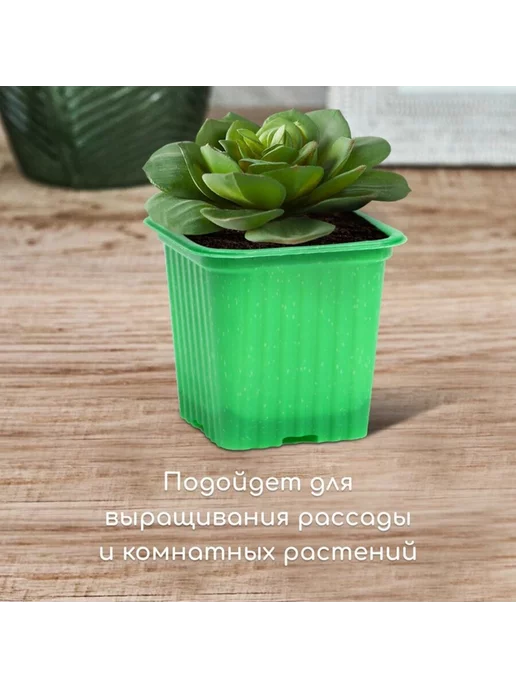 In Mother's Hands Горшок для рассады, 210 мл, зелёный, d 7 см, h 6.5 см, 10 шт, 210 мл, 10 шт, фото 3