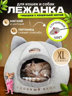 Лежанка для кошек и собак мелких пород с мятой FromMyHeart 263204025 купить за 1 097 ₽ в интернет-магазине Wildberries