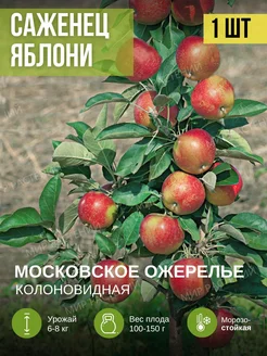 яблоня колоновидная Московское ожерелье красная Мир растений 263289567 купить за 302 ₽ в интернет-магазине Wildberries