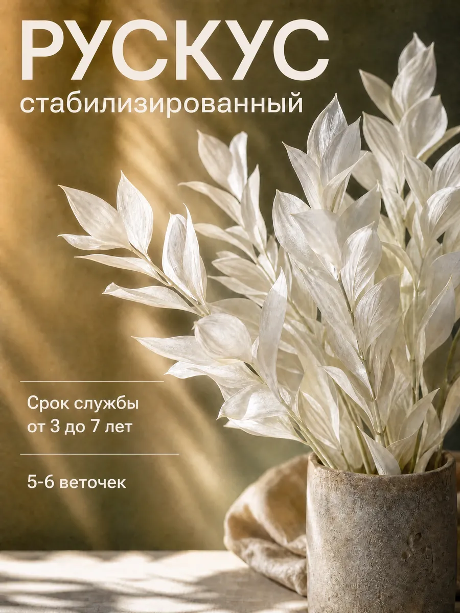 Рускус стабилизированный натуральный сухоцвет для декора