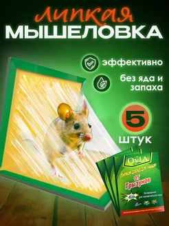 Мышеловка для мышей клеевая ловушка 5 шт