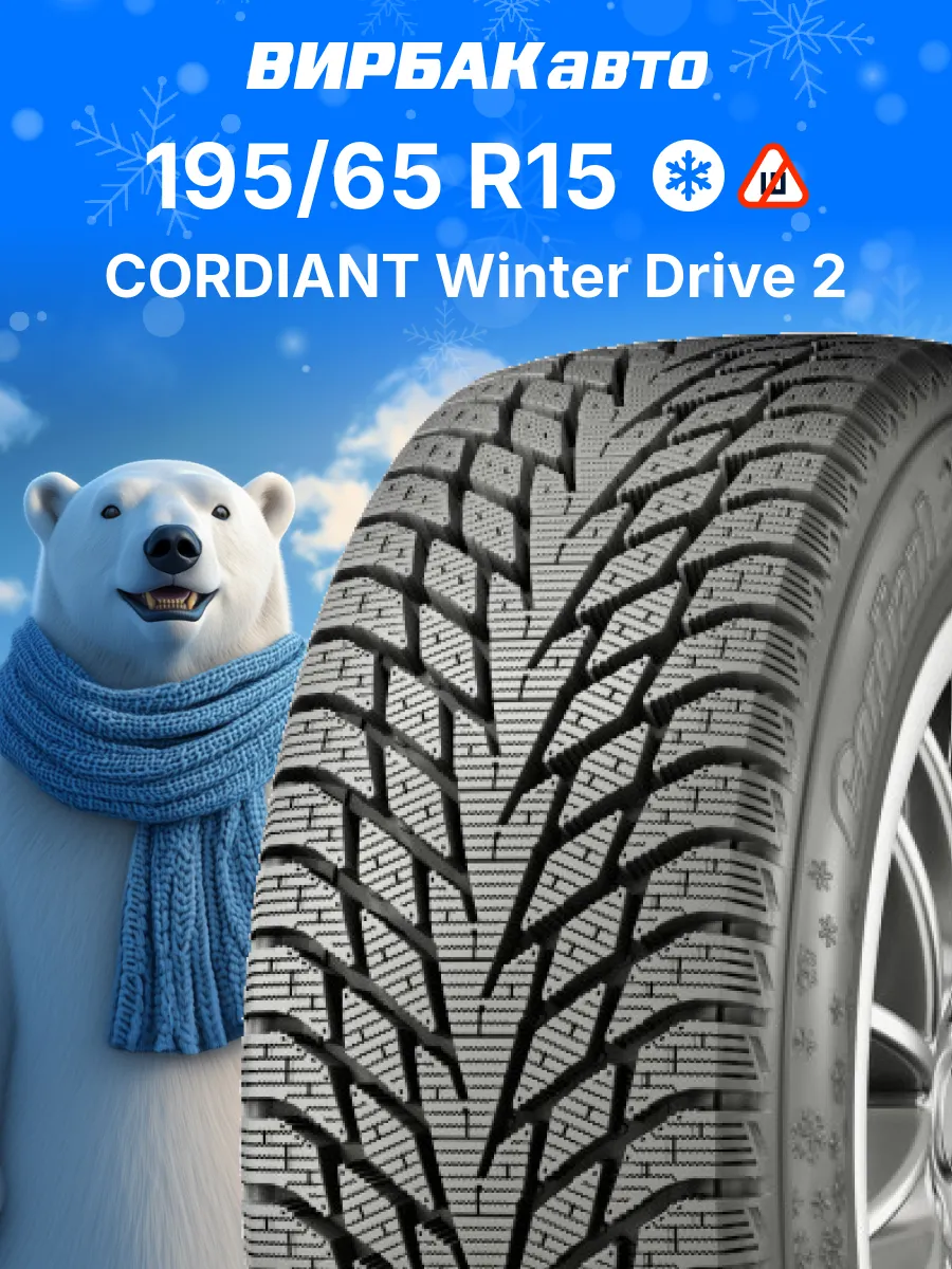 Шины зимние 195/65R15 Winter Drive 2 95T
