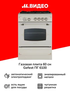 Газовая плита (60 см) ПГ 6100-03 0279