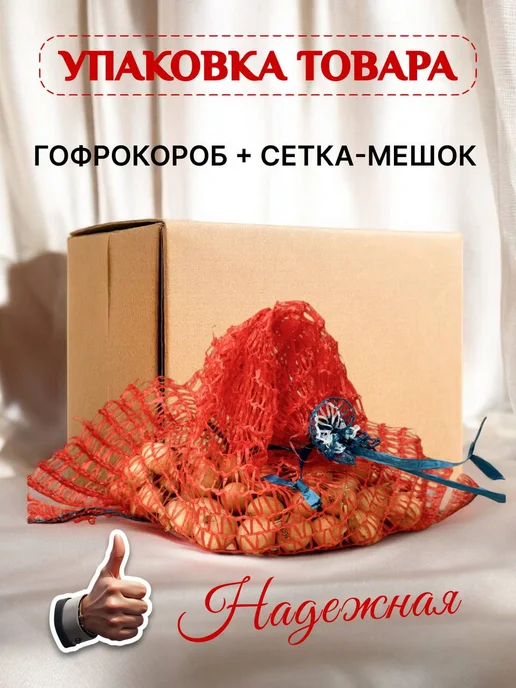 Лук севок озимый для посадки в зиму "Геркулес" 0.3 кг, 1 кг, фото 3