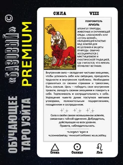 Таро Обучающее с инструкцией (60 стр.). "Базовый" Премиум US TAROT SHOP 263385822 купить за 654 ₽ в интернет-магазине Wildberries