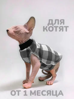 Одежда для котят сфинкс