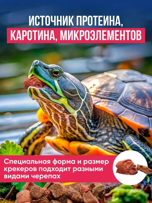 Эльф Лакомство для водяных черепах, 50г, 50 г, фото 3