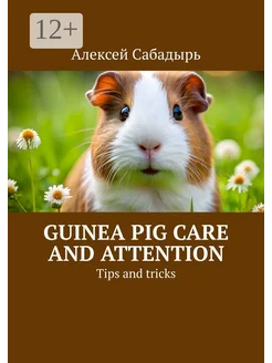 Guinea pig care and attention