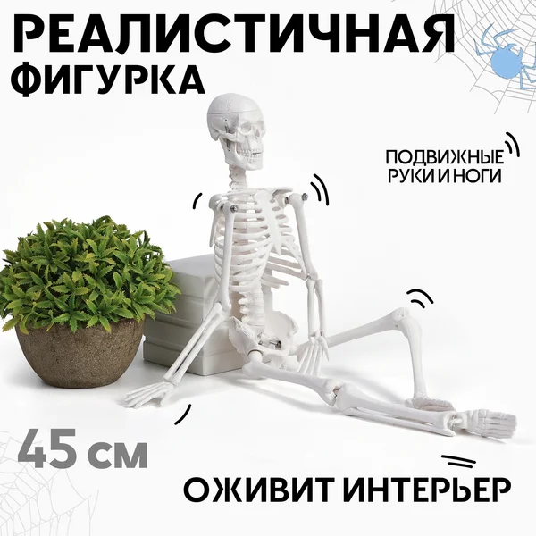Скелет с подвижными руками и ногами