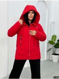 Куртка зимняя Pakhlavi 263508123 купить за 4 343 ₽ в интернет-магазине Wildberries