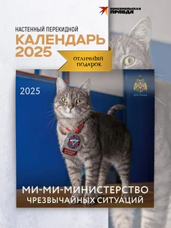 Календарь 2025. Ми-ми-министерство чрезвычайных ситуаций