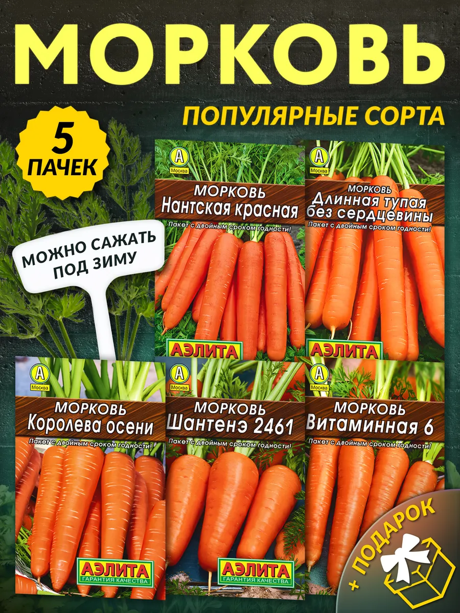 Семена моркови под зиму на хранение