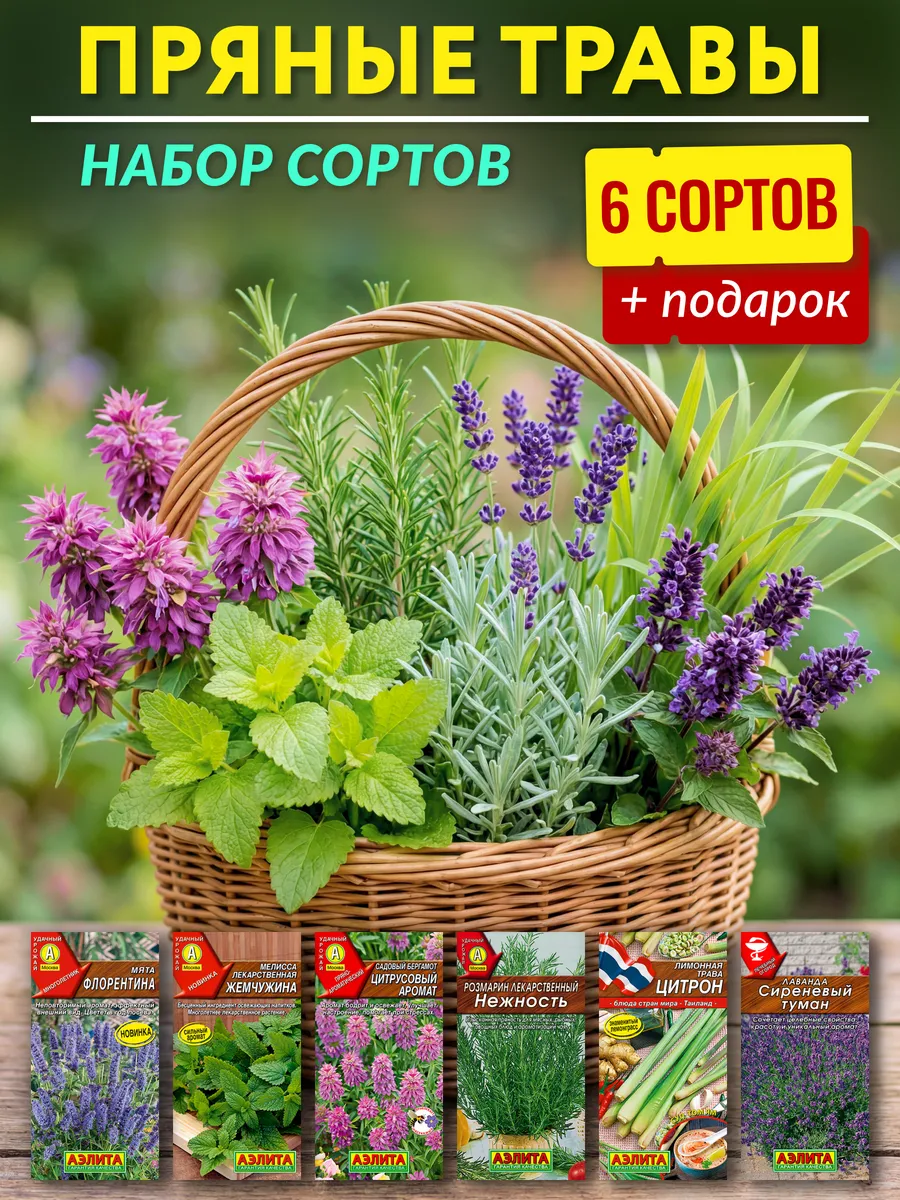 Семена пряных трав для посева