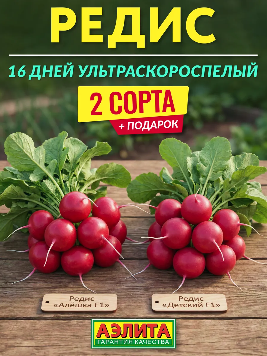 Семена редиса 16 дней ультраскороспелый