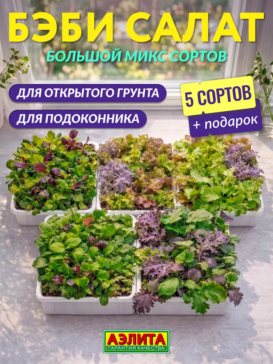 Семена бэби салат листовой для балкона
